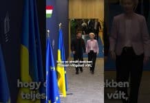 Kormány: Felháborító!
