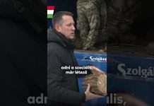 Kormány: Rendkívűli tűzifa osztás