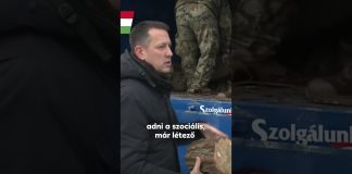 Kormány: Rendkívűli tűzifa osztás