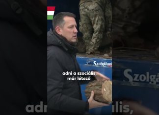 Kormány: Rendkívűli tűzifa osztás