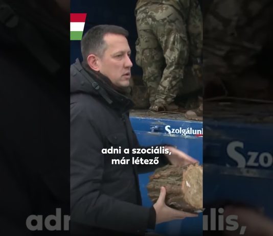 Kormány: Rendkívűli tűzifa osztás