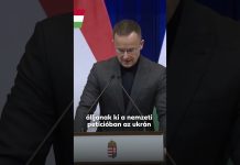 Kormány: Itt a válasz Zelenszkij döntésére: