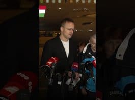 Kormány: A külügyminiszter sajtótájékoztatója a két magyar hadifogoly hazahozataláról:
