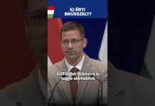 Kormány: Ki érti Brüsszelt?