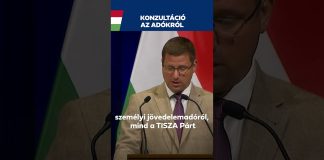 Kormány: Nemzeti konzultáció indul a közteherviselésről, adókról