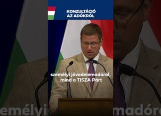 Kormány: Nemzeti konzultáció indul a közteherviselésről, adókról
