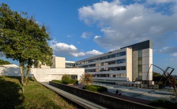Az elsők között indít mesterségesintelligencia-informatikus mesterképzést a PTE