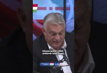 Kormány: Válasz a fegyverviselésre