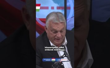 Kormány: Válasz a fegyverviselésre