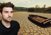 Pamkutya: Ki fog SZÁRADNI Magyarország? – Márkopédia #22