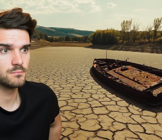 Pamkutya: Ki fog SZÁRADNI Magyarország? – Márkopédia #22