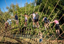Art of Freedom – izgalmas művészeti projektek töltik meg a Szigetet