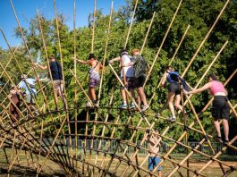 Art of Freedom – izgalmas művészeti projektek töltik meg a Szigetet