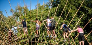 Art of Freedom – izgalmas művészeti projektek töltik meg a Szigetet