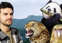 Pamkutya: Melyik állat fog kihalni LEGKÖZELEBB? – Márkopédia #18