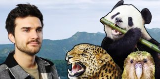 Pamkutya: Melyik állat fog kihalni LEGKÖZELEBB? – Márkopédia #18