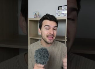 Pamkutya: Mi történne, ha ledobnánk egy mókust egy felhőkarcolóról? #shorts