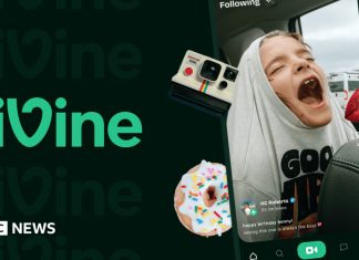 Visszatért a Vine? A Divine nevű rövid videomegosztó alkalmazás nyilvánosan is elérhetővé vált