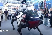 Robotló és lovasa lopják el a show-t egy kínai konferencián