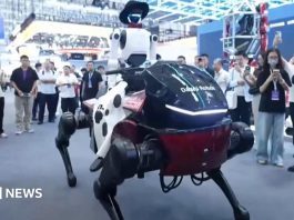 Robotló és lovasa lopják el a show-t egy kínai konferencián
