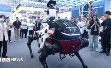 Robotló és lovasa lopják el a show-t egy kínai konferencián